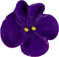 Violets - Medium
