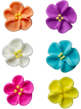 Wild Rose Minis - Asst