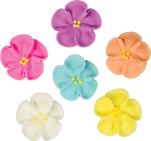 Wild Rose - Assorted Colors