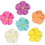 Wild Rose - Assorted Colors
