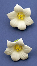 Lilies- 1-1/2