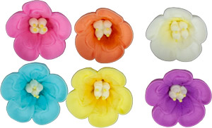 Petunias - Assorted Colors