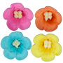 Petunias - Assorted Colors