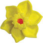 Daffodil Mini Royal Icing Flower