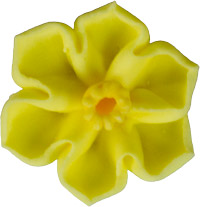 Daffodils - Small Yellow