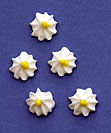 White Flowers