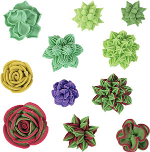 Royal Icing Succulent Set #1