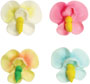 Phalaenopsis Royal Icing Assortment