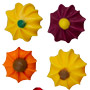 Autumn Mix Twist Flowers - Royal Icing