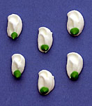 White Buds