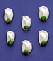 White Buds