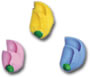 Assorted Rosebuds