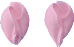 Rosebud - Pink