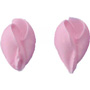 Rosebud - Pink