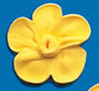Daffodil Icing