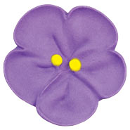 Violet Icing - Large
