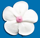 Daisy Icings - Large