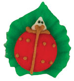 Lady Bug On Leaf Icing