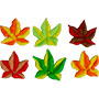 Autumn Leaf Mini Royal Icing Assort.