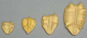 Leaf Icing - Gold - 1
