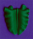 Leaf Icing - Green - 1-1/2