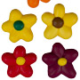 Autumn Flower Power - Royal Icing