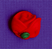 Half Roses - Red