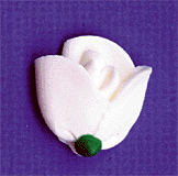Half Roses - White