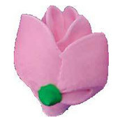 Half Roses - Pink