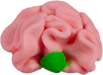 Carnations - Pink