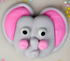 Elephant Cookie Face