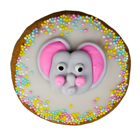 Elephant Cookie Face