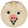 Piggy Cookie Face