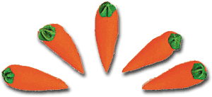 Carrots - Medium
