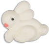 Mini White Bunnies