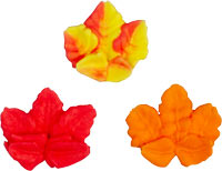 Fall Leaves Assortment