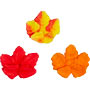 Fall Leaves Assortment