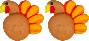 Tom Terrific Turkey