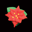 Mini Red Poinsettia - Royal