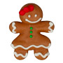 Gingerbread Girl Icings