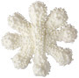 White Snowflake With Non-Pareils - Large