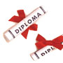 Paper Diploma w/ Bow - Large 4-1/4