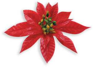 Vinyl Poinsettia/Stem - Large
