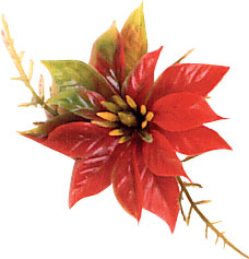 Poinsettia Corsage