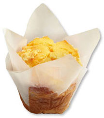 Tulip Cup - White