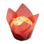 Tulip Cup - Red