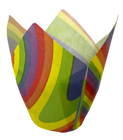 Tulip Cup - Rainbow