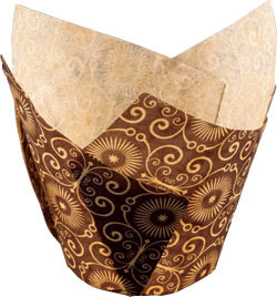 Tulip Cup - Mariposa - Brown - Cupcake