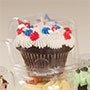 Clear Box - Large Cupcake Single - Case