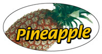 Flavor Label Roll - Pineapple (1m)